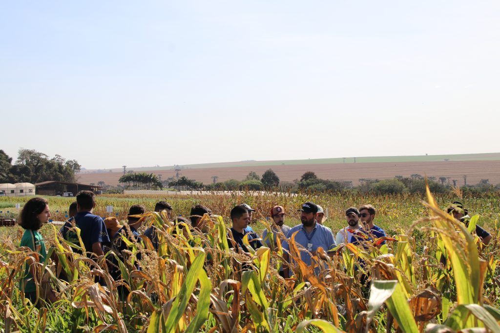 Acadêmicos e docentes de Agronomia visitam a 27ª Hortitec, em Holambra (SP)